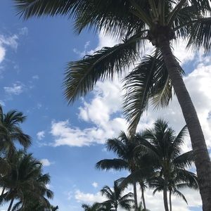 Meet your Posher, Evan